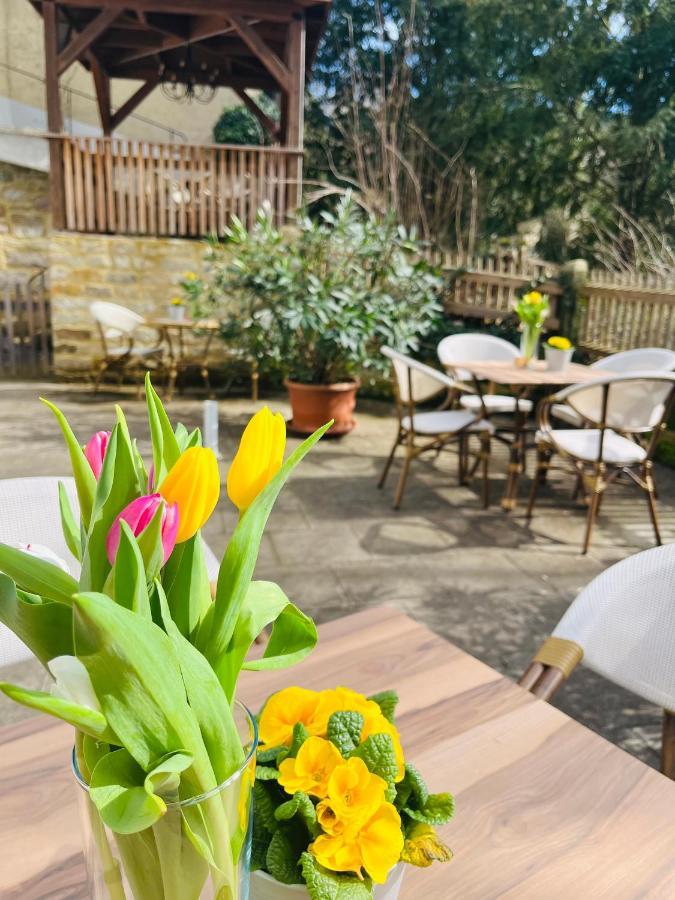Ferienwohnungen An Der Salvatorkirche - Exklusiv-Apartments Mit Terrasse كوبورغ المظهر الخارجي الصورة